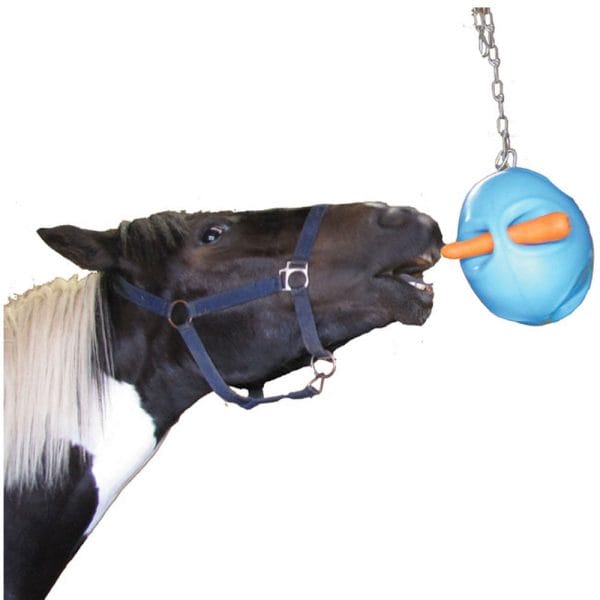 Carrot Ball Horse Toy