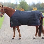 Bridleway Montreal Stable Rug - 220g Fill - New Green Apple Design | tempest original 100 stable rug