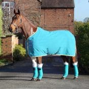 Bridleway Quilted Rug | tempest original stable sheet 9454