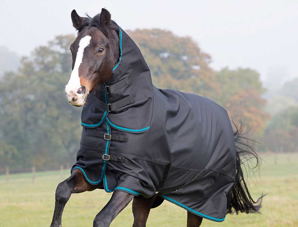 Waterproof Shires Tempest Plus 300g Combo Turnout Horse Rug Integrated Hood 
