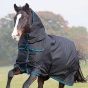 Highlander 100 Stable Rug and Neck Set | tempest plus 300 turnout combo