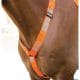 Bridleway Visibility Breastplate | bridleway visibility breastplate 2