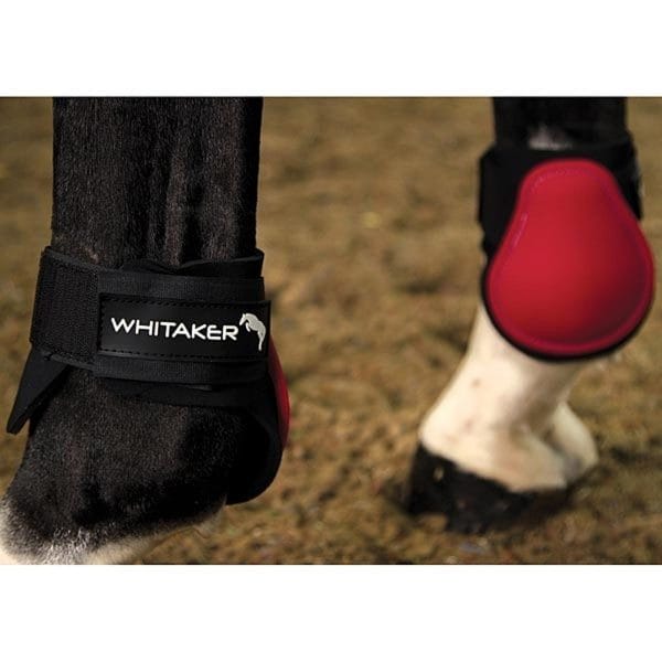 John Whitaker Tendon/Fetlock Boots Set of 4 | jw whitaker tendon and fetlock r2ed 1