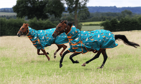 Horses with Gallop rugs