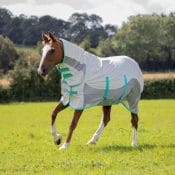 Shires Fine Mesh Fly Mask with Ears and Nose | tempest original summer shield with mesh