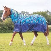 Shires Turnout Rugs