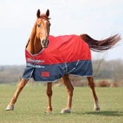 Turnout Rugs