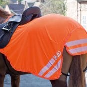Bridleway Visibility Lightweight Exercise Sheet