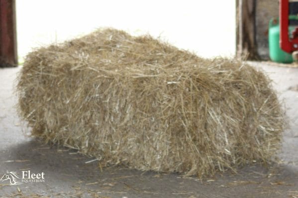 Hay Bale for Horses - Approx 20kg | Hay Bale for Horses Approx 20kg 110x50x40cm BOXED FREE PP 222556381790 2