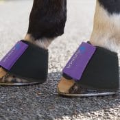 Shires ARMA Neoprene Over Reach Boots - Shires ARMA Neoprene Over Reach Boots 222650395340
