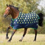 Bridleway Ontario Lightweight Combo Turnout Rug - Navy/Green | Bridleway Ontario Lightweight Turnout Rug Green Apple Print FREE NEXT DAY PP 322447842371