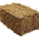 Bridleway Montreal Stable Rug - 220g Fill - New Green Apple Design | Handy Size Barley Straw Bale 16kg compressed to 90cm x 50cm x 40cm Boxed 322759998123