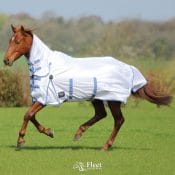 ARMA Touch Close Over Reach Boots | Bridleway Edmonton Fly Rug Combo 322480041995