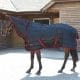 Whistler Rug/Neck Set Winter Turnout Rug | Bridleway Quebec Heavyweight 350g Combo Stable Rug 323318979095