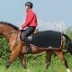 Shires Nylon Roller with Fleece Padding | Bridleway Fleece Exercise Sheet Next Day PP Included Mainland UK 222516706068